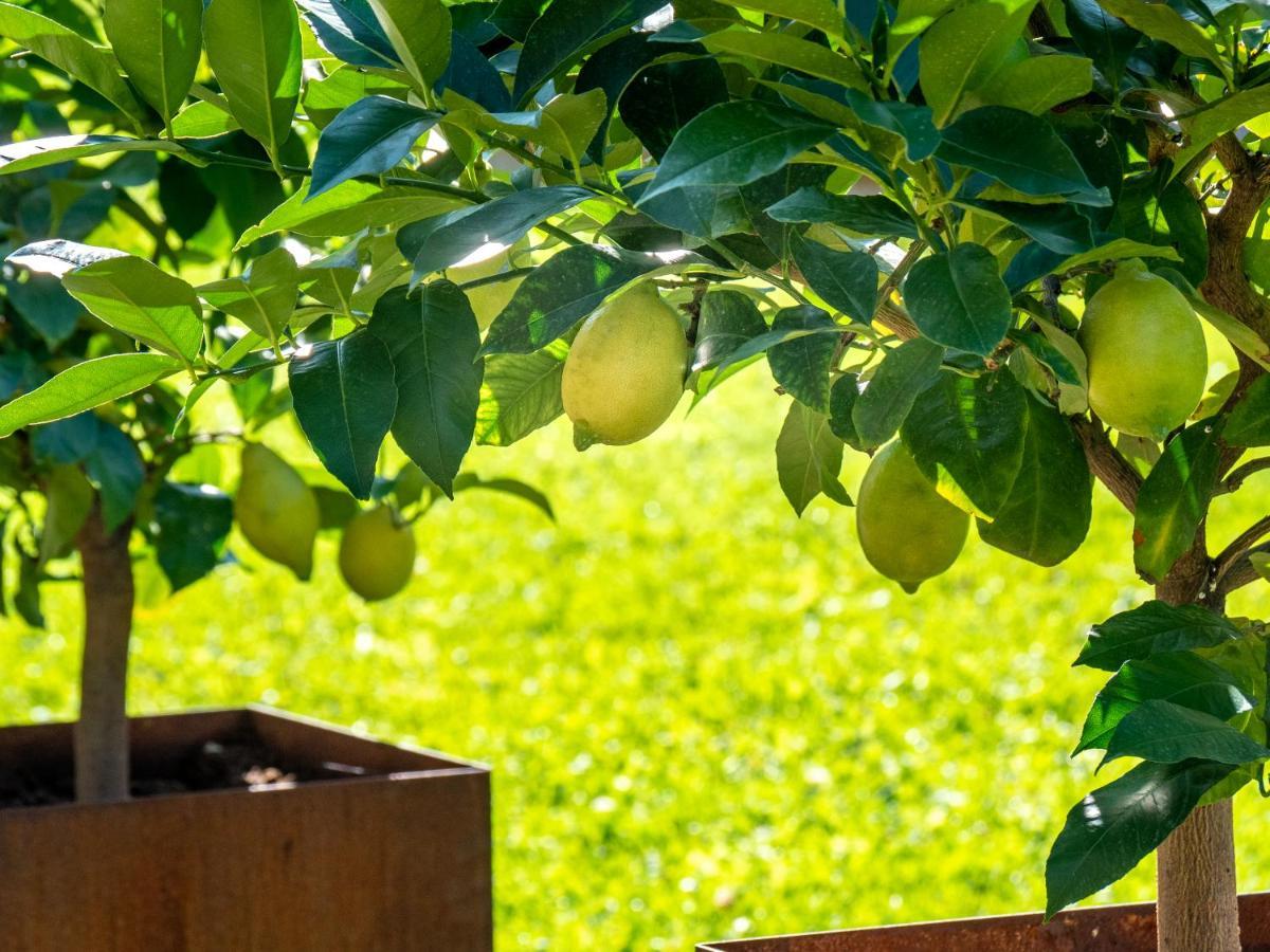 טרמנו Gartenheim Tramin מראה חיצוני תמונה